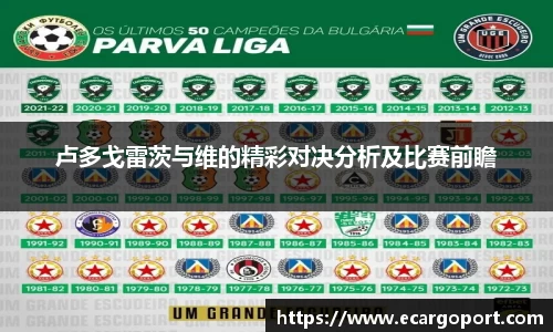 卢多戈雷茨与维的精彩对决分析及比赛前瞻